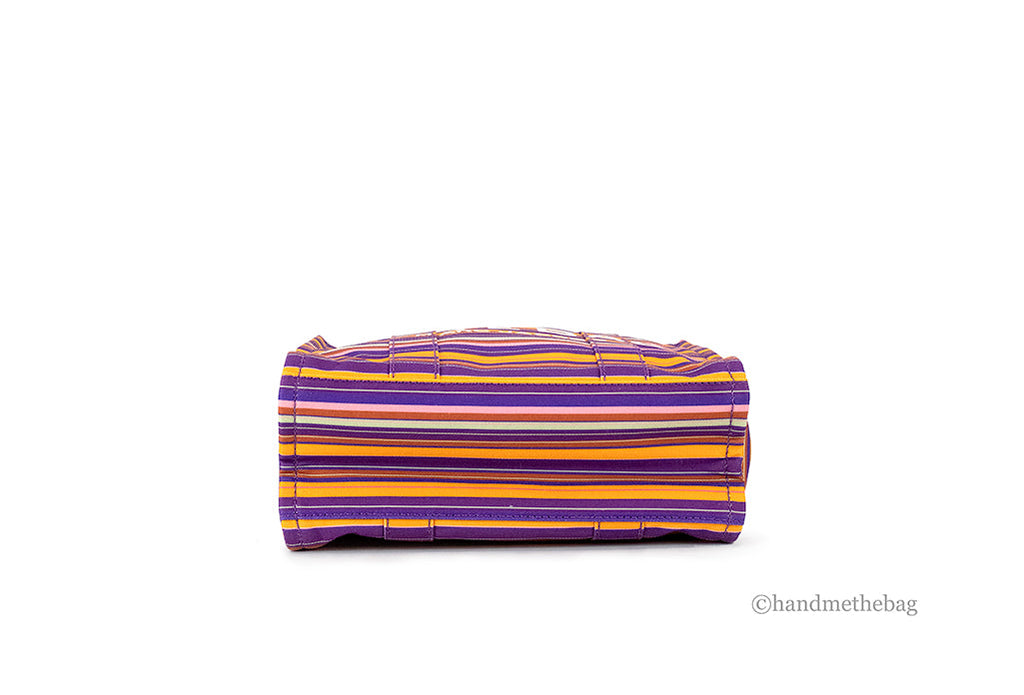 Striped Traveler Tote Bag
