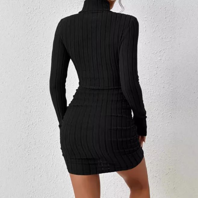 Women's Turtleneck Slim-Fit Knitted Dress